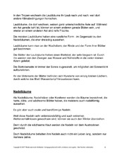 Bäume-Text-zur-Präsentation-4.pdf